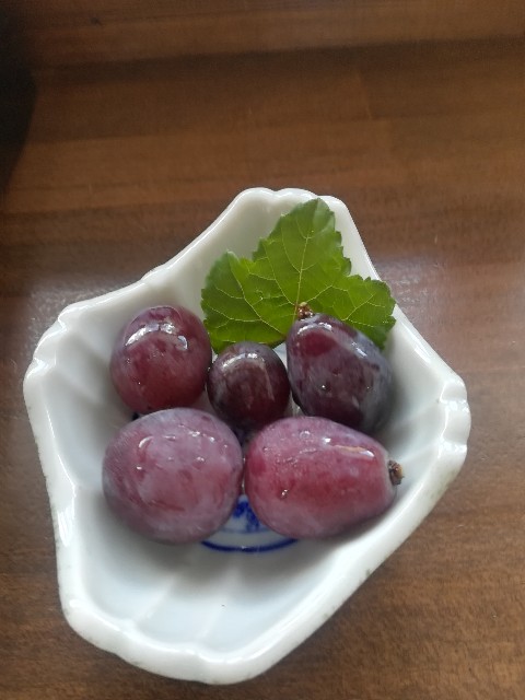 f:id:mionyamam:20180812184311j:image f:id:mionyamam:20180812184311j:image