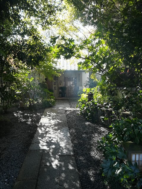 f:id:mionyamam:20181125231142j:image