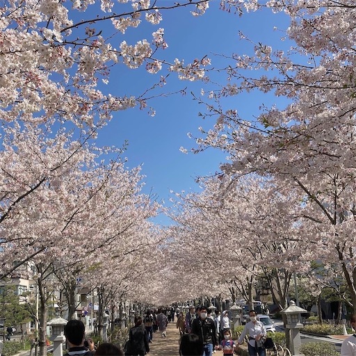 f:id:miopuu:20230402135958j:image