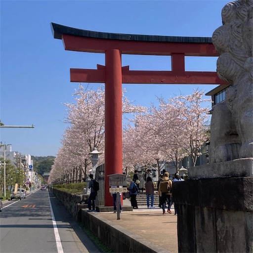 f:id:miopuu:20230402212050j:image