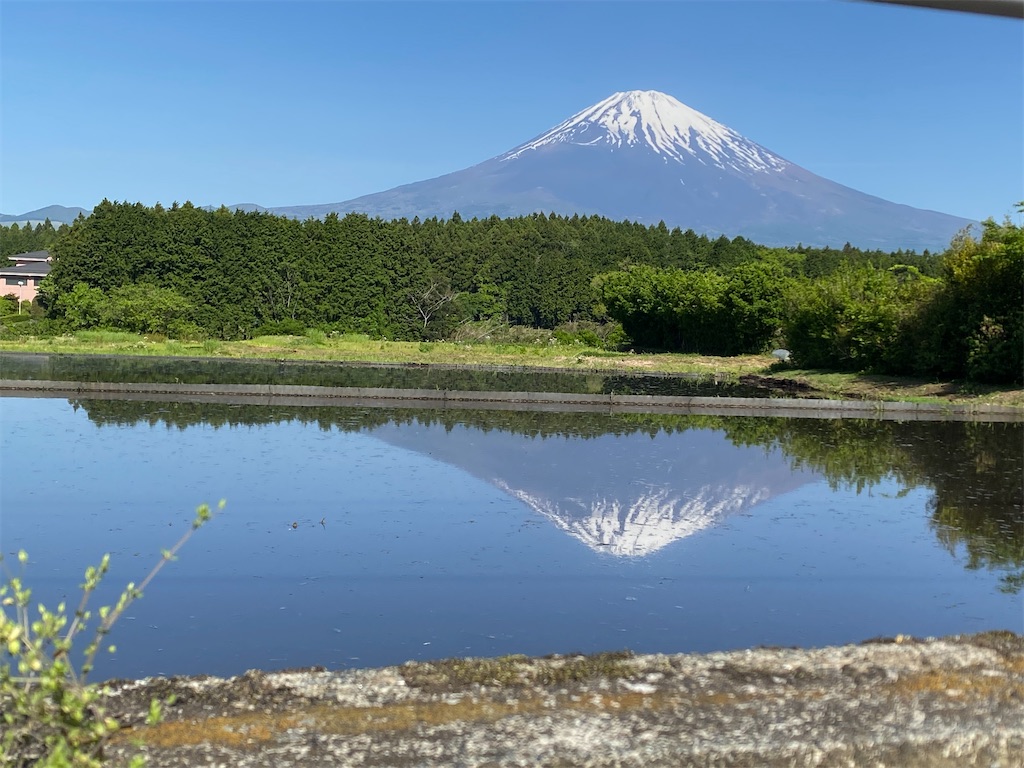 f:id:miosuna1108:20240511050137j:image f:id:miosuna1108:20240511050137j:image