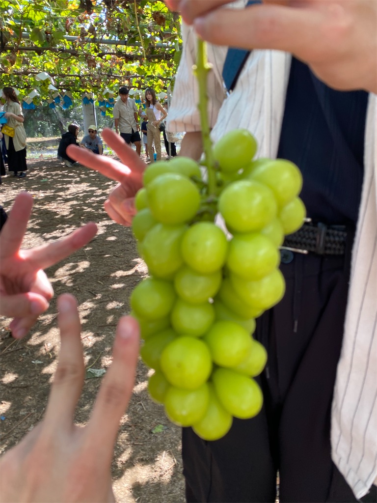 f:id:miosuna1108:20241223041055j:image f:id:miosuna1108:20241223041055j:image