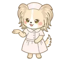 パピナース・こちらです