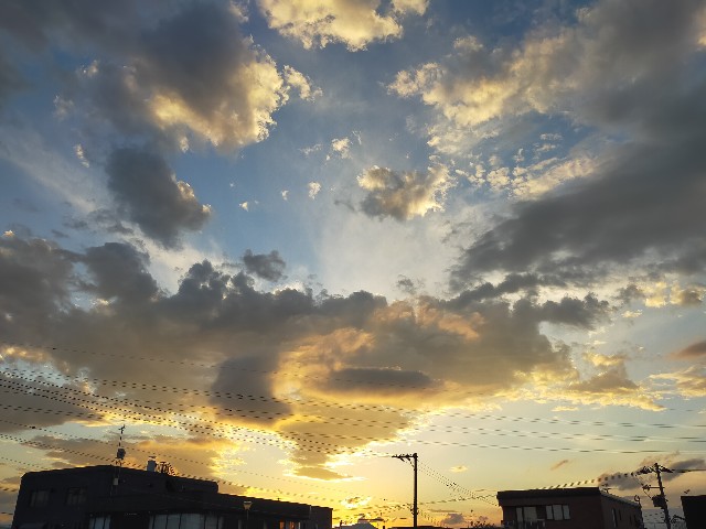 f:id:miotoo:20211018100146j:image