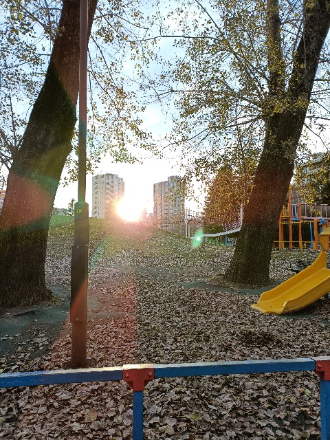 f:id:miotoo:20241203125634j:image