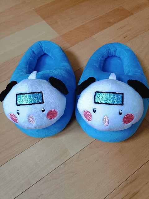f:id:miotoo:20241220121507j:image
