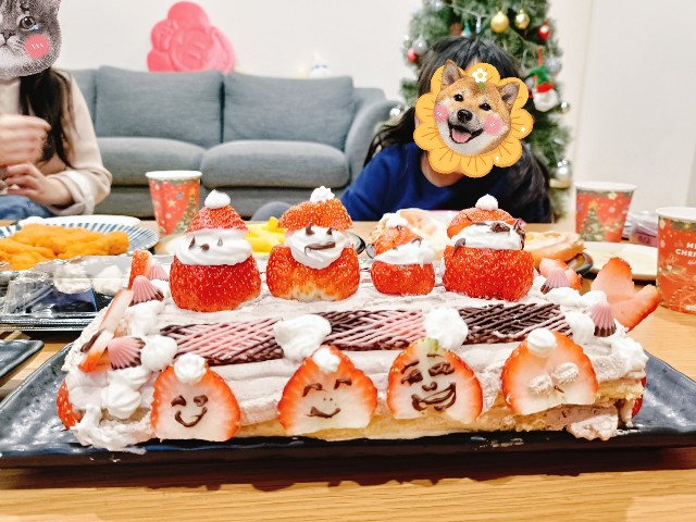 f:id:miotoo:20241227102513j:image