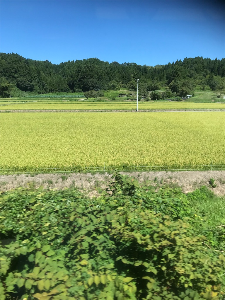 f:id:miotsukushiQ:20200626225738j:image f:id:miotsukushiQ:20200626225738j:image