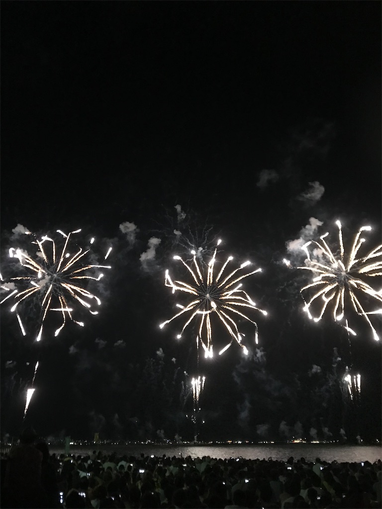 f:id:miotsukushiQ:20200629231120j:image