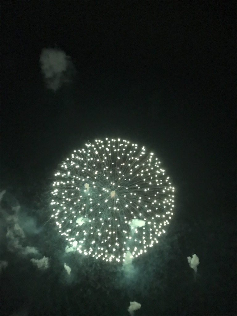 f:id:miotsukushiQ:20200629231200j:image