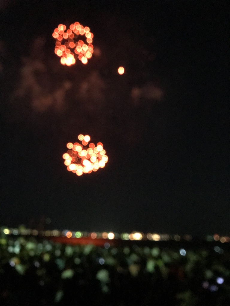 f:id:miotsukushiQ:20200629231210j:image