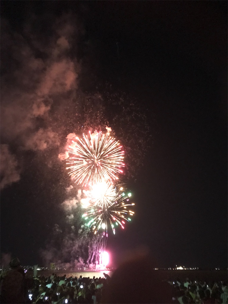 f:id:miotsukushiQ:20200629231251j:image