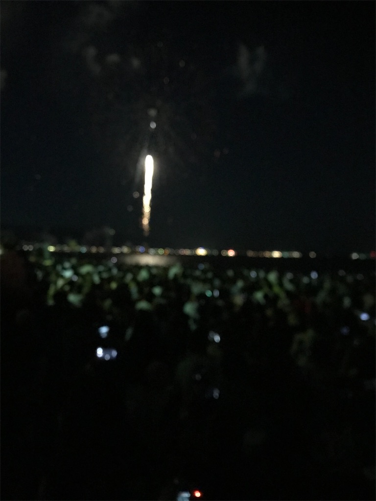 f:id:miotsukushiQ:20200629231322j:image