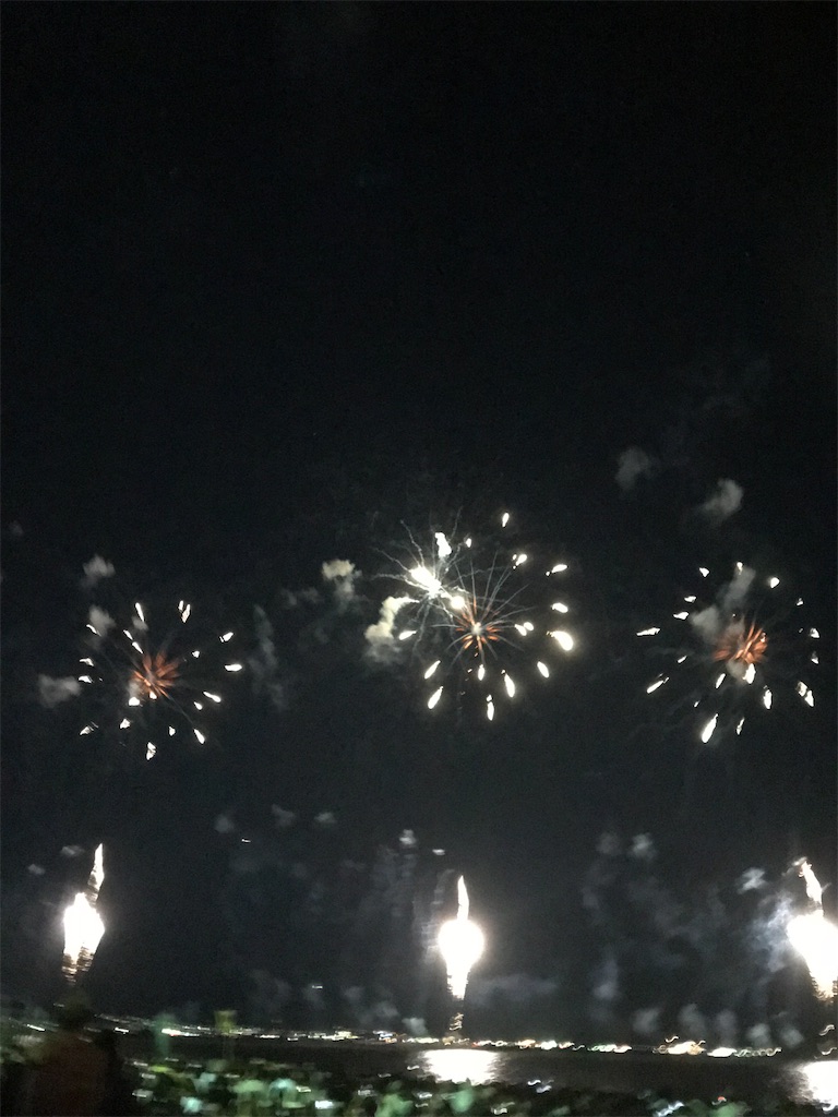 f:id:miotsukushiQ:20200629231329j:image