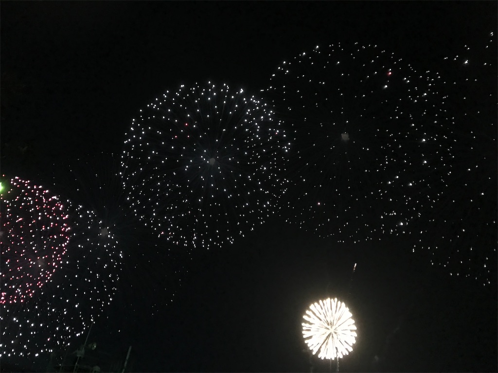 f:id:miotsukushiQ:20200629231348j:image