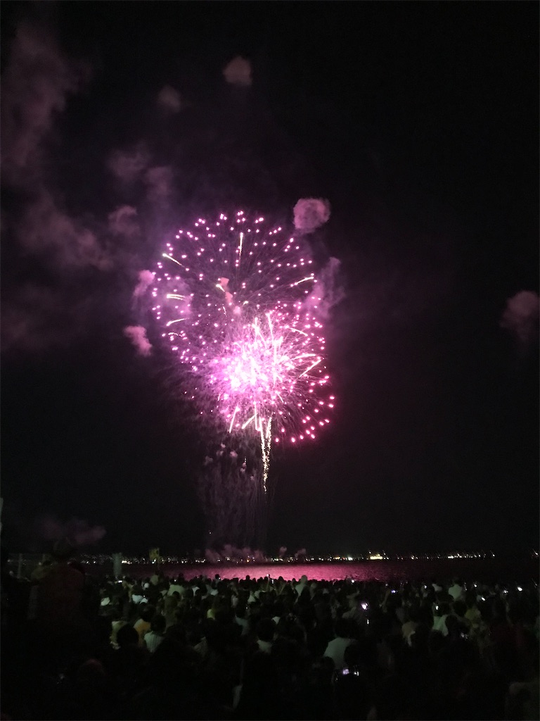 f:id:miotsukushiQ:20200629231401j:image