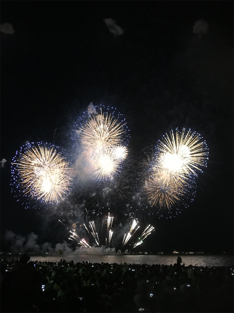 f:id:miotsukushiQ:20200629231723j:image