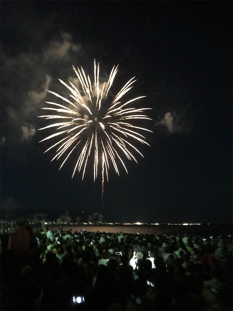 f:id:miotsukushiQ:20200629232044j:image