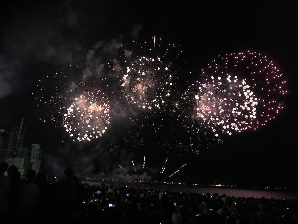 f:id:miotsukushiQ:20200629232047j:image