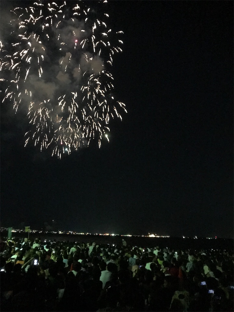 f:id:miotsukushiQ:20200629232053j:image