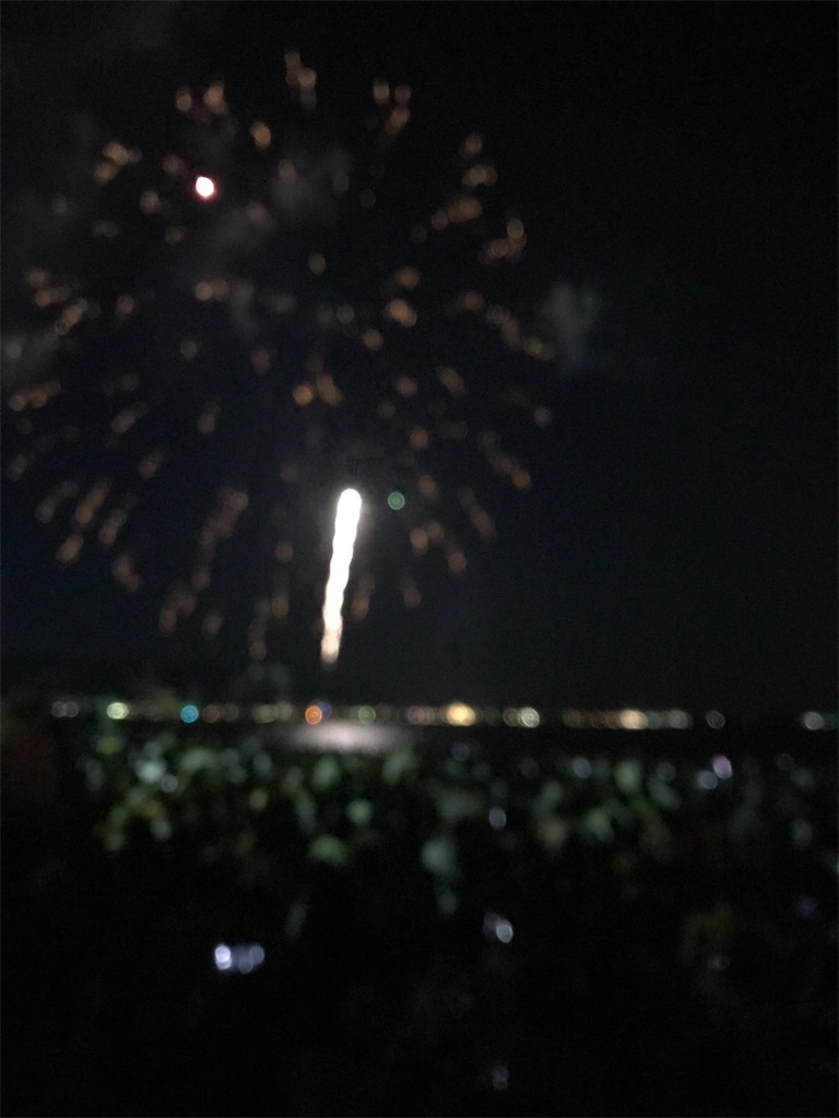 f:id:miotsukushiQ:20200629232158j:image
