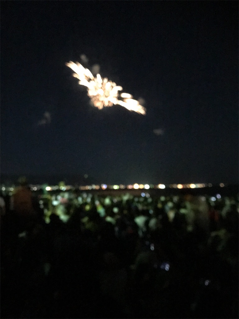 f:id:miotsukushiQ:20200629232203j:image