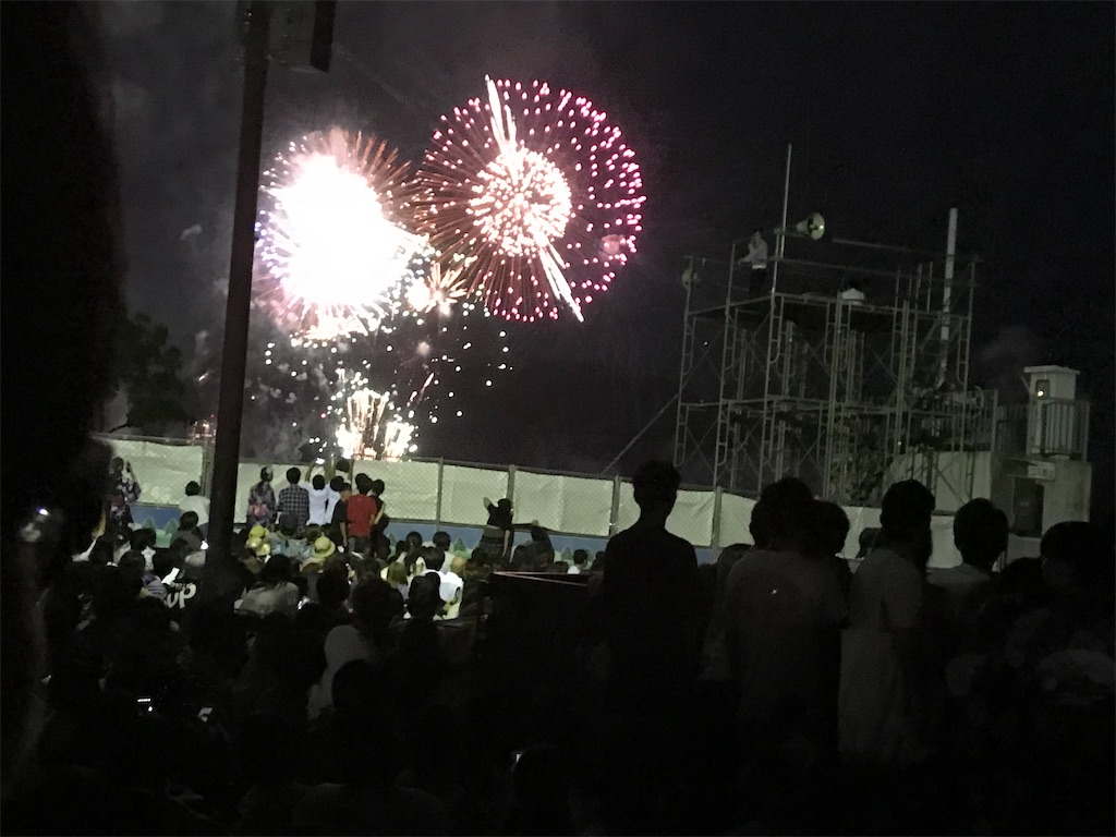 f:id:miotsukushiQ:20200629232237j:image