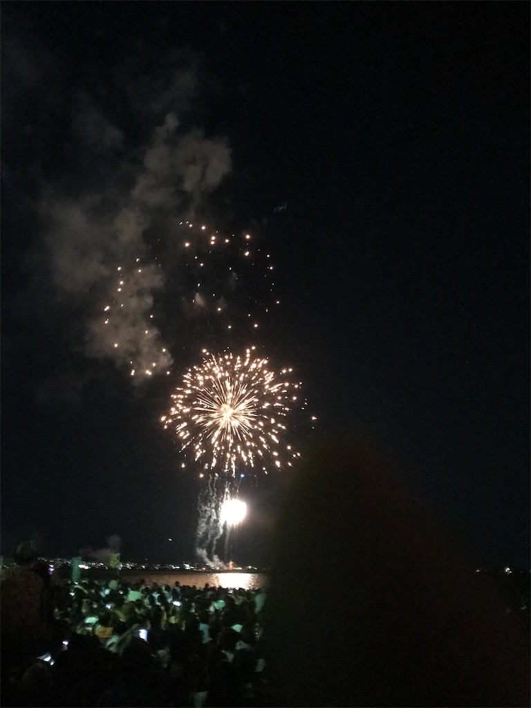 f:id:miotsukushiQ:20200629232258j:image