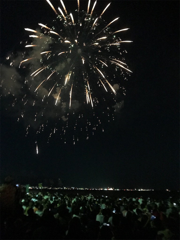 f:id:miotsukushiQ:20200629232302j:image
