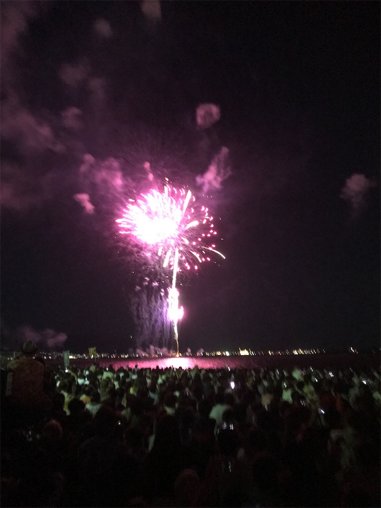 f:id:miotsukushiQ:20200629232331j:image