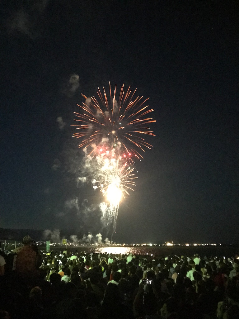f:id:miotsukushiQ:20200629232402j:image