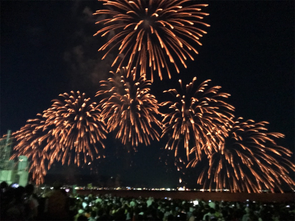 f:id:miotsukushiQ:20200629232430j:image
