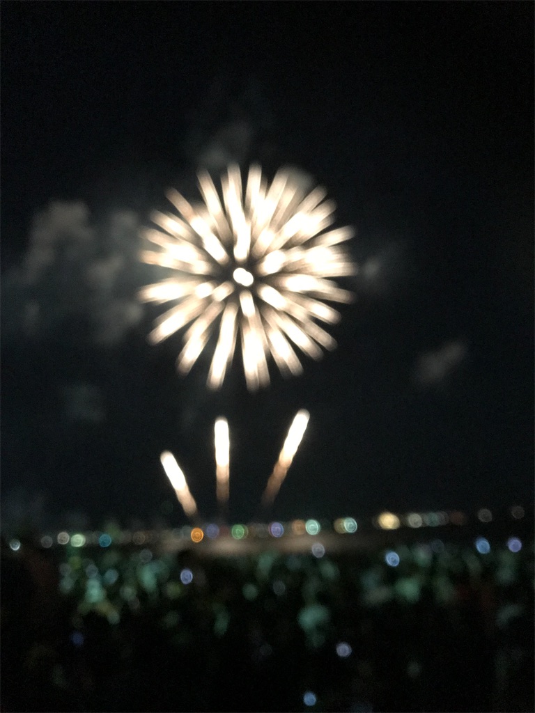 f:id:miotsukushiQ:20200629232441j:image