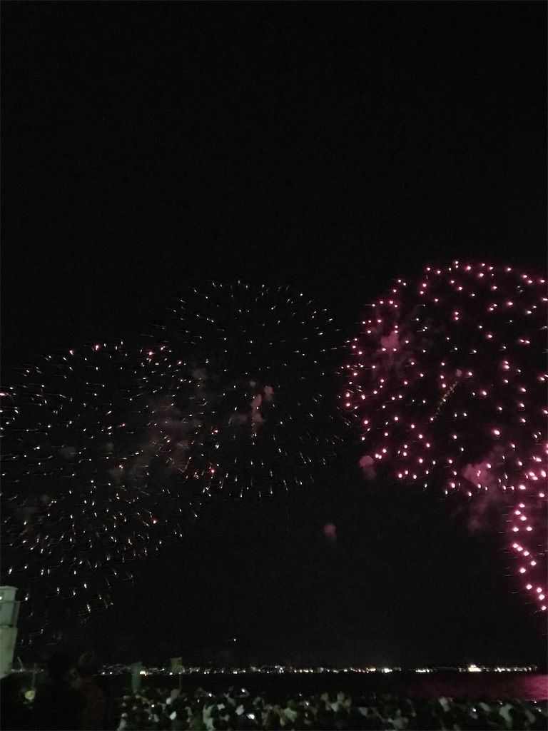 f:id:miotsukushiQ:20200629232558j:image