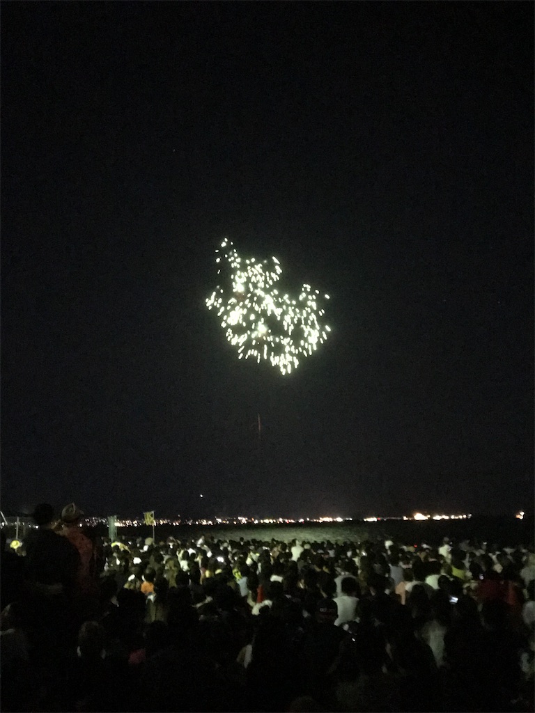 f:id:miotsukushiQ:20200629232715j:image