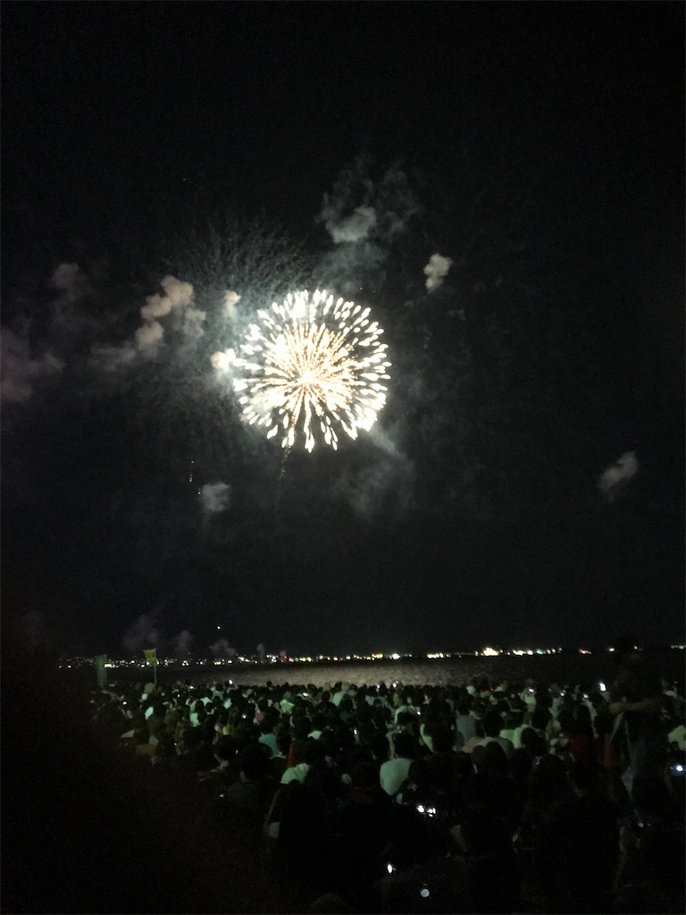 f:id:miotsukushiQ:20200629232722j:image