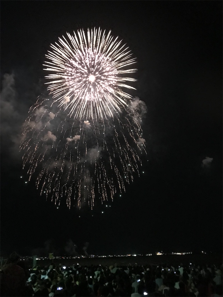 f:id:miotsukushiQ:20200629232728j:image
