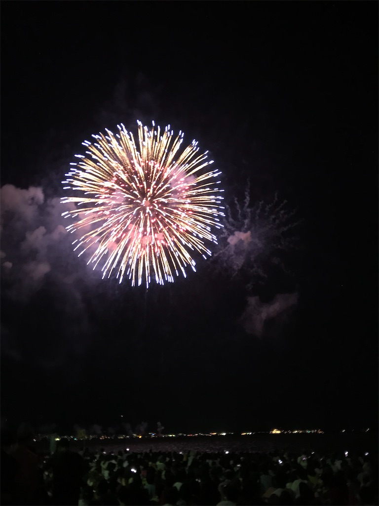 f:id:miotsukushiQ:20200629232758j:image
