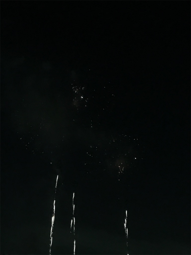 f:id:miotsukushiQ:20200629234001j:image