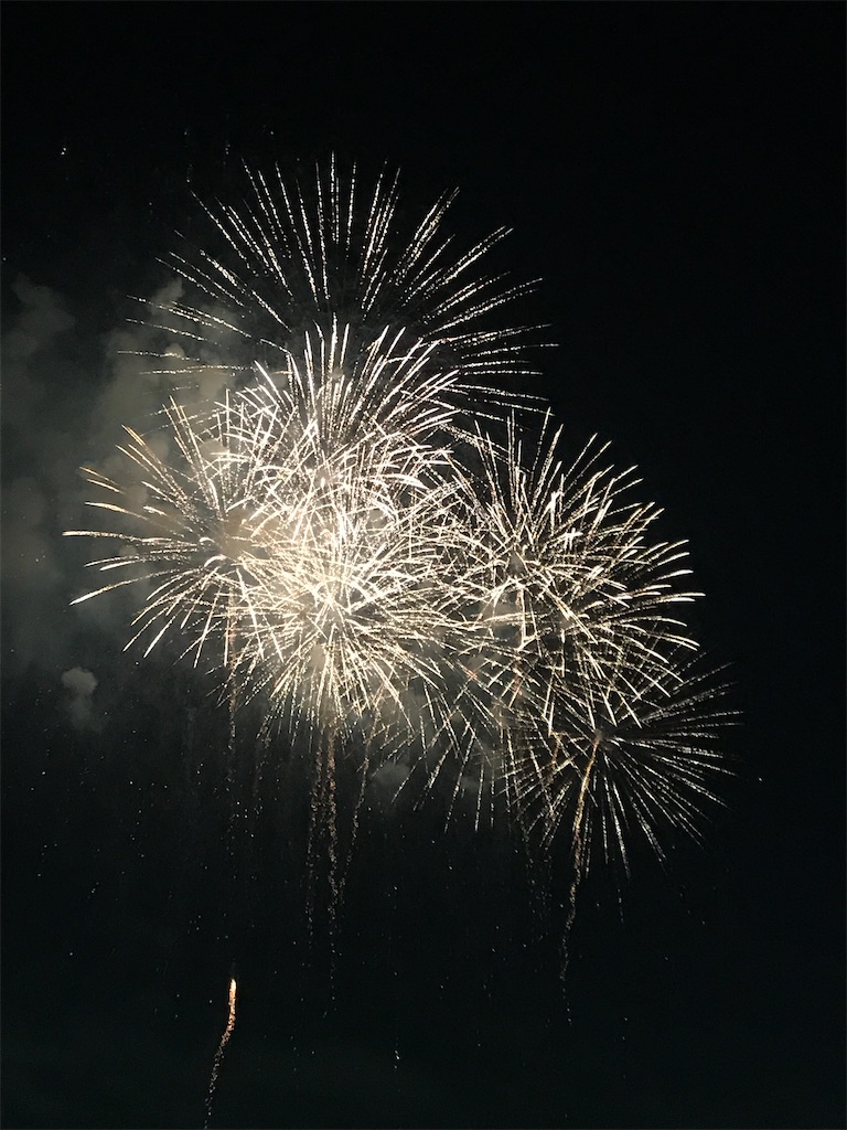 f:id:miotsukushiQ:20200629234012j:image