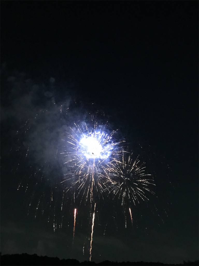 f:id:miotsukushiQ:20200629234037j:image