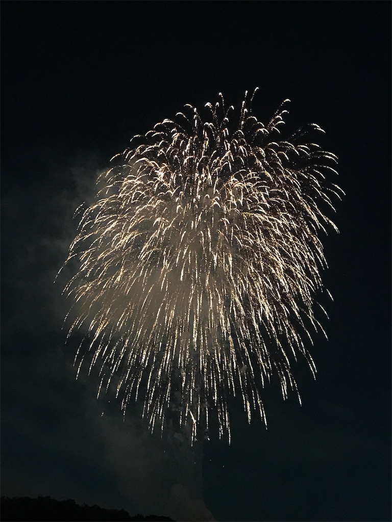 f:id:miotsukushiQ:20200629234040j:image