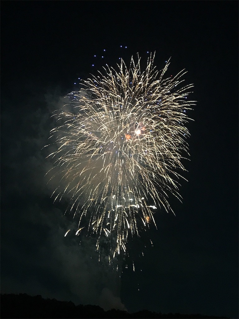 f:id:miotsukushiQ:20200629234047j:image