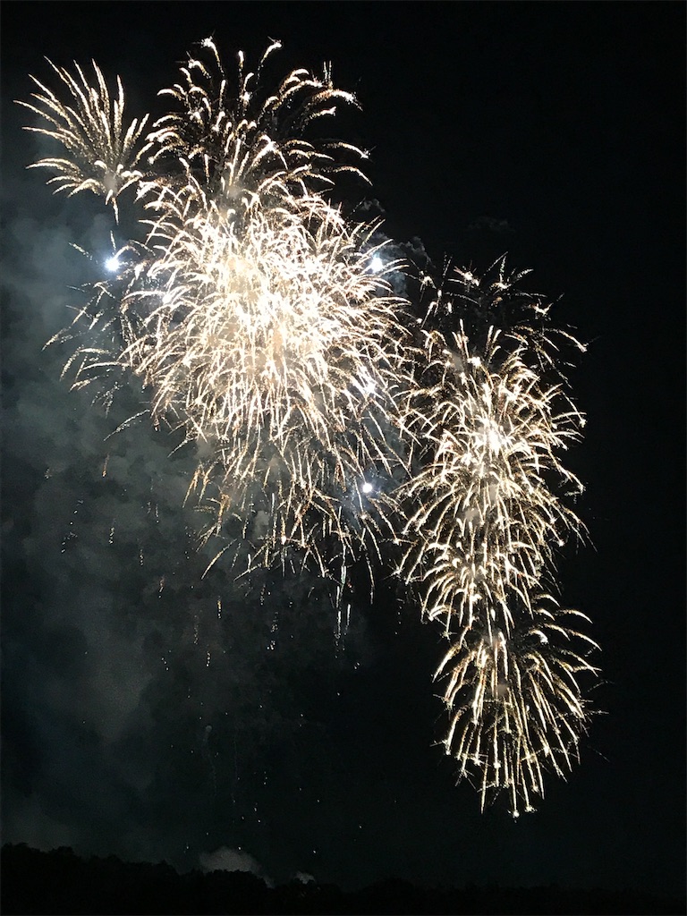 f:id:miotsukushiQ:20200629234109j:image