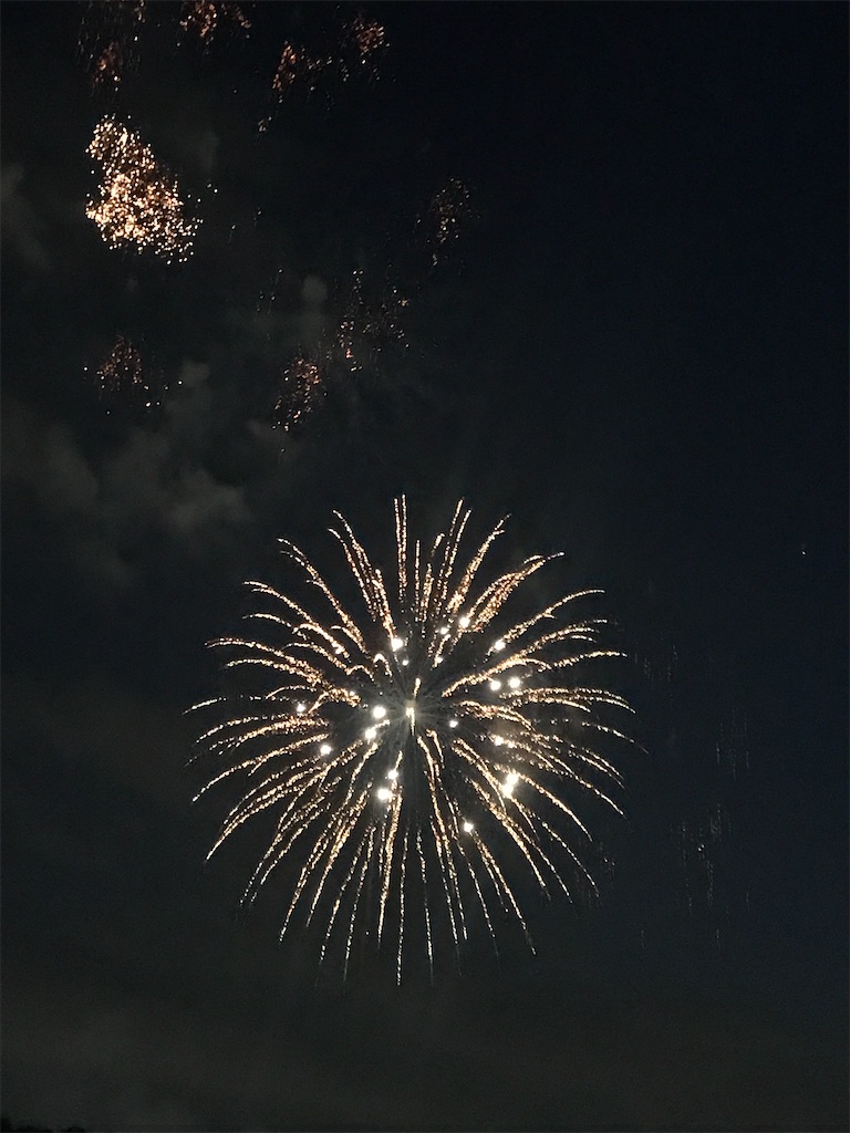f:id:miotsukushiQ:20200629234125j:image