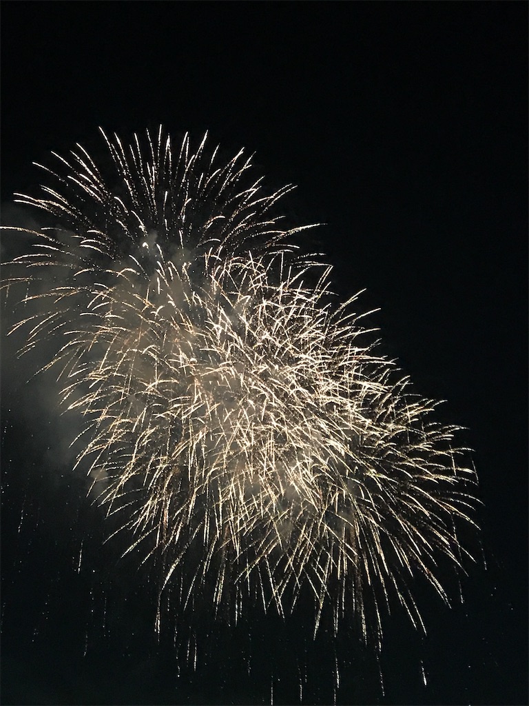 f:id:miotsukushiQ:20200629234238j:image