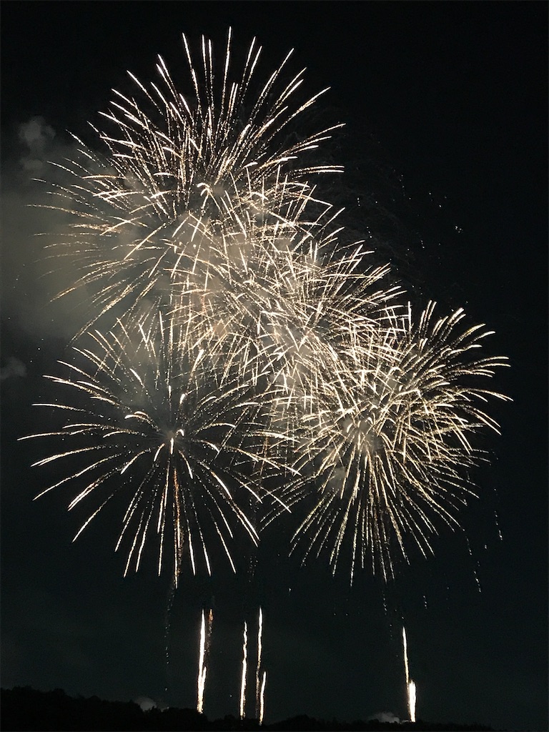 f:id:miotsukushiQ:20200629234245j:image