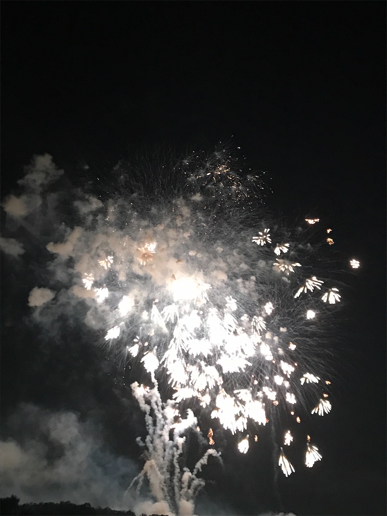 f:id:miotsukushiQ:20200629234306j:image