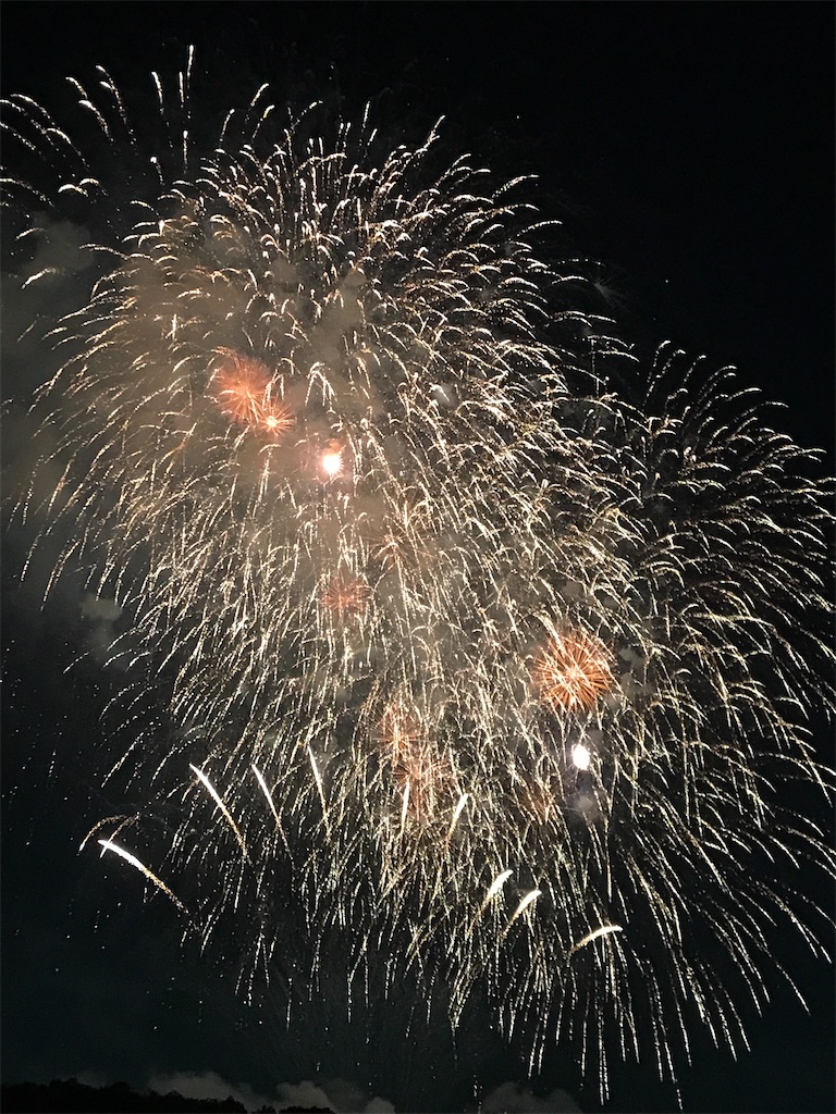 f:id:miotsukushiQ:20200629234310j:image