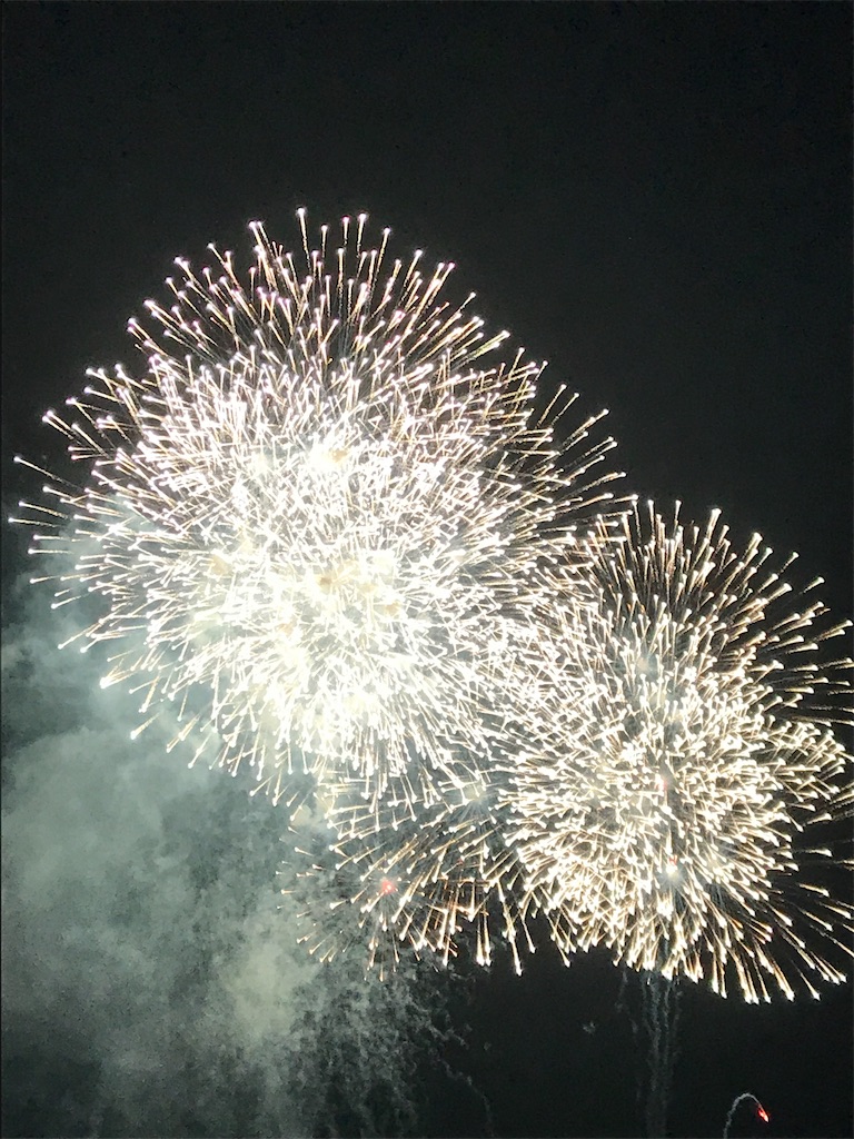 f:id:miotsukushiQ:20200629234340j:image